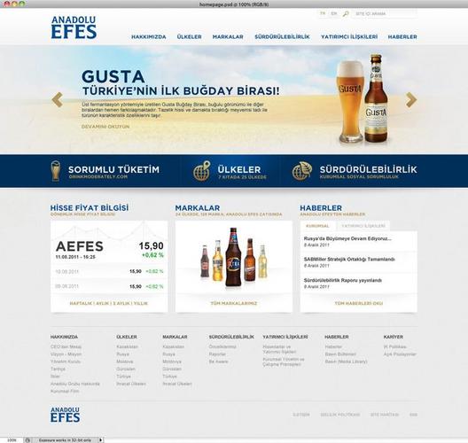 阿纳多卢 欧洲品牌啤酒企业网站设计[11p]-网页设计